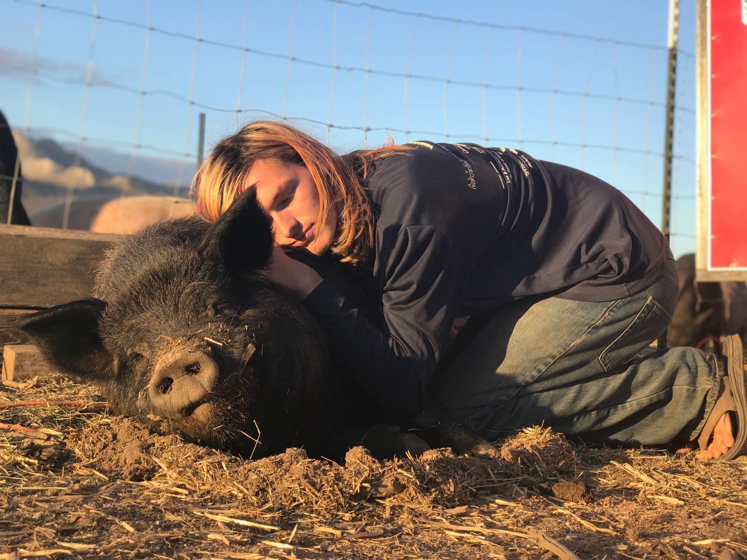 The Emotional Intelligence of Farm Animals — What Science Tells Us About Pigs, Goats, Cows & Chickens