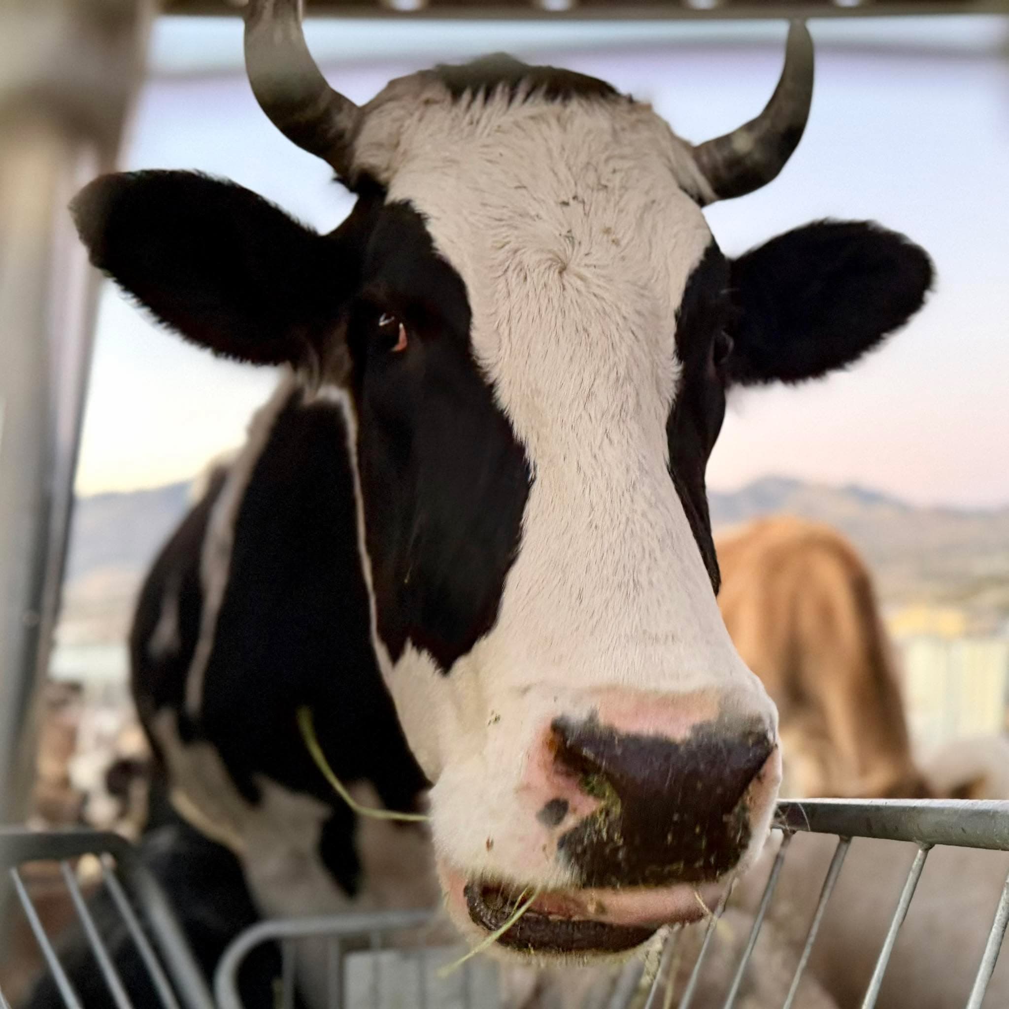 Did you know that every 👍, ❤️, 😮, comment, or share earns a penny(-ish) to ...