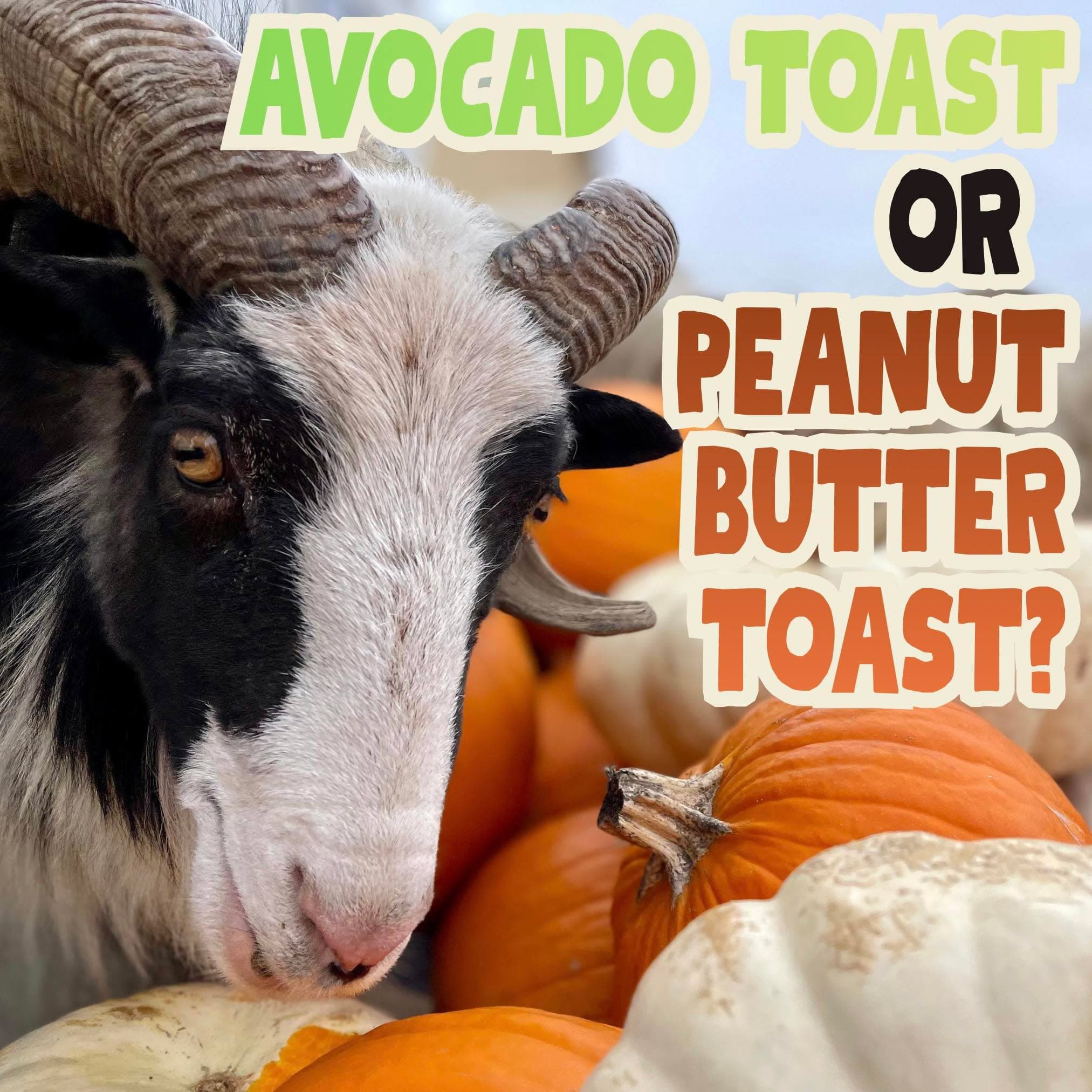 Let’s play a #GivingTuesday game!