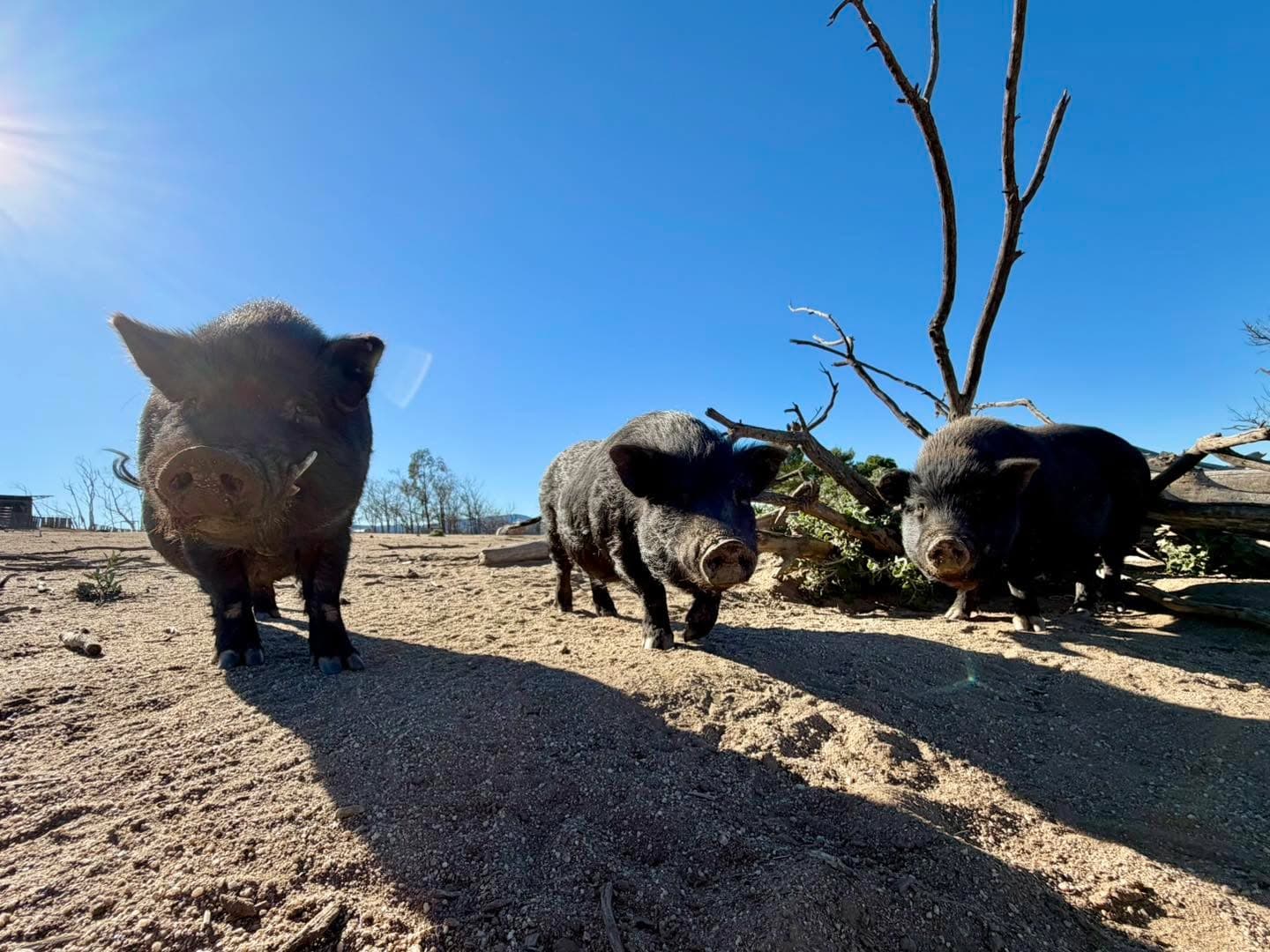 Some days don’t go as planned.