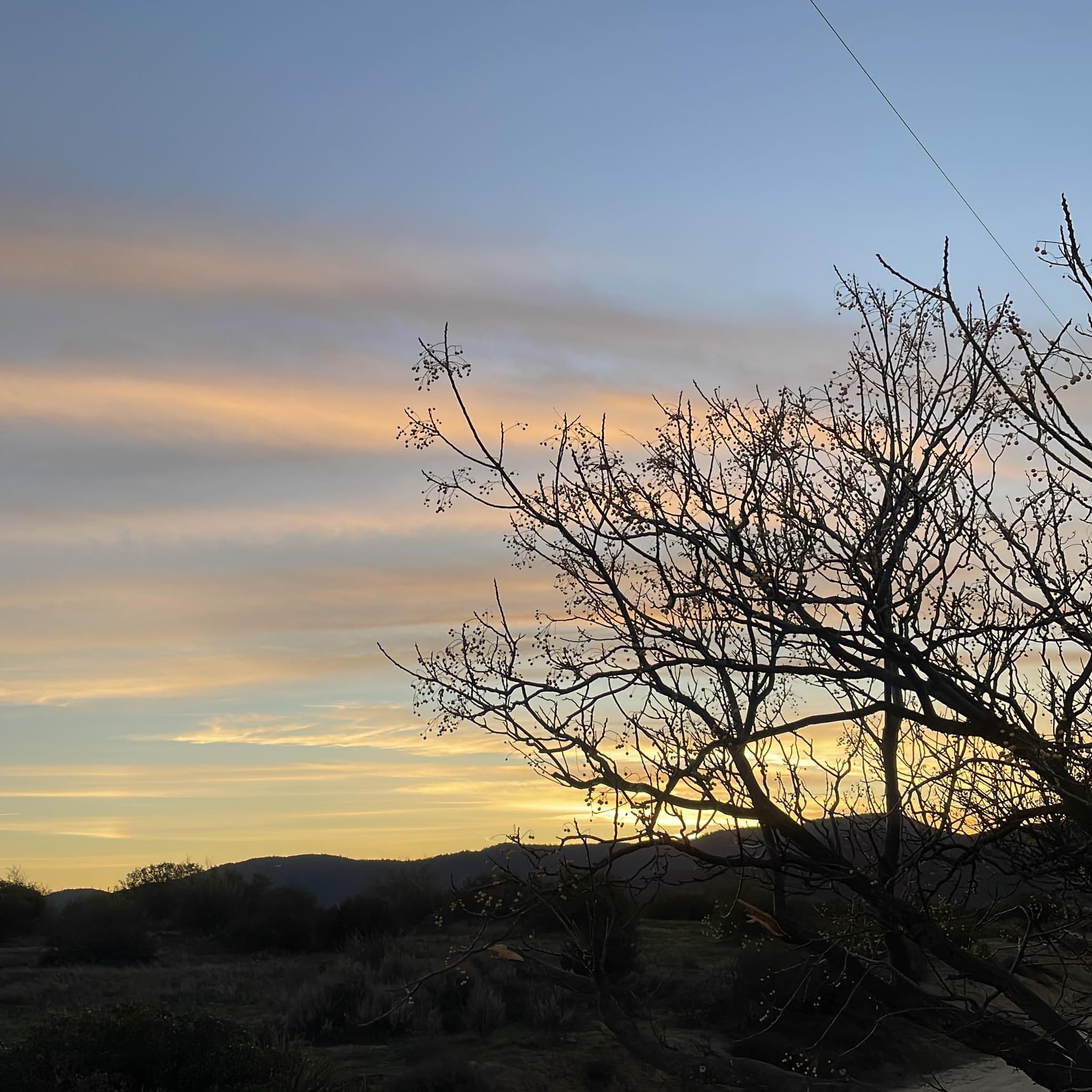 Have a peaceful longest night this Winter Solstice.