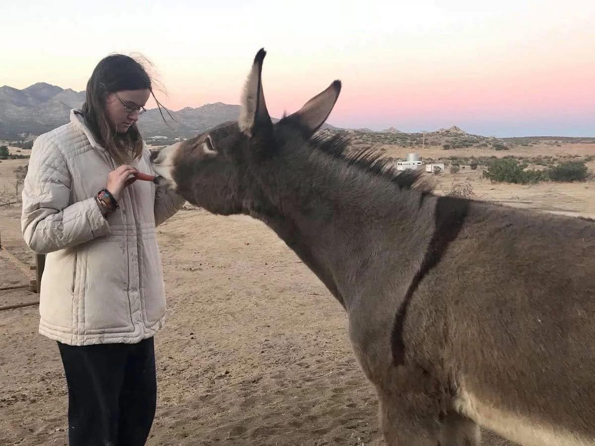 Some animals arrive at Steampunk Farms Rescue Barn like a soft exhale—quiet e... (1 of 5)