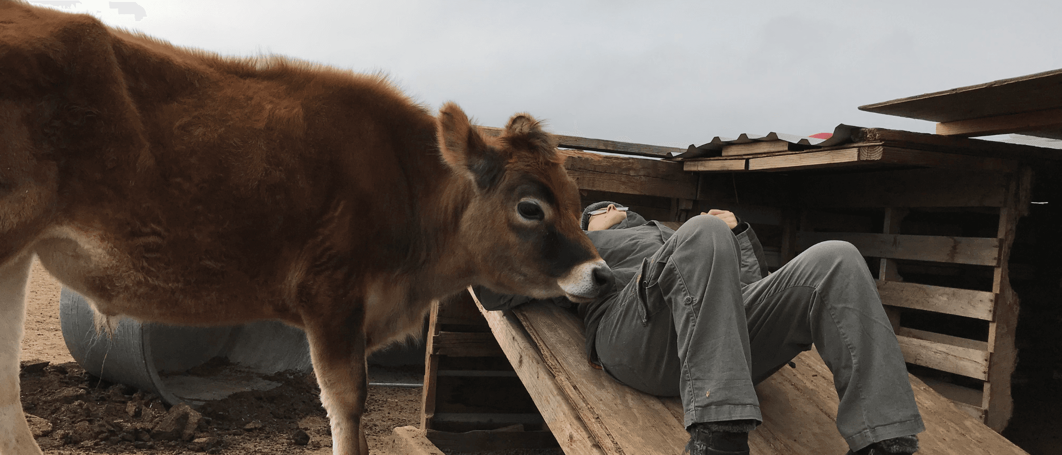 9.png at Steampunk Farms Rescue Barn
