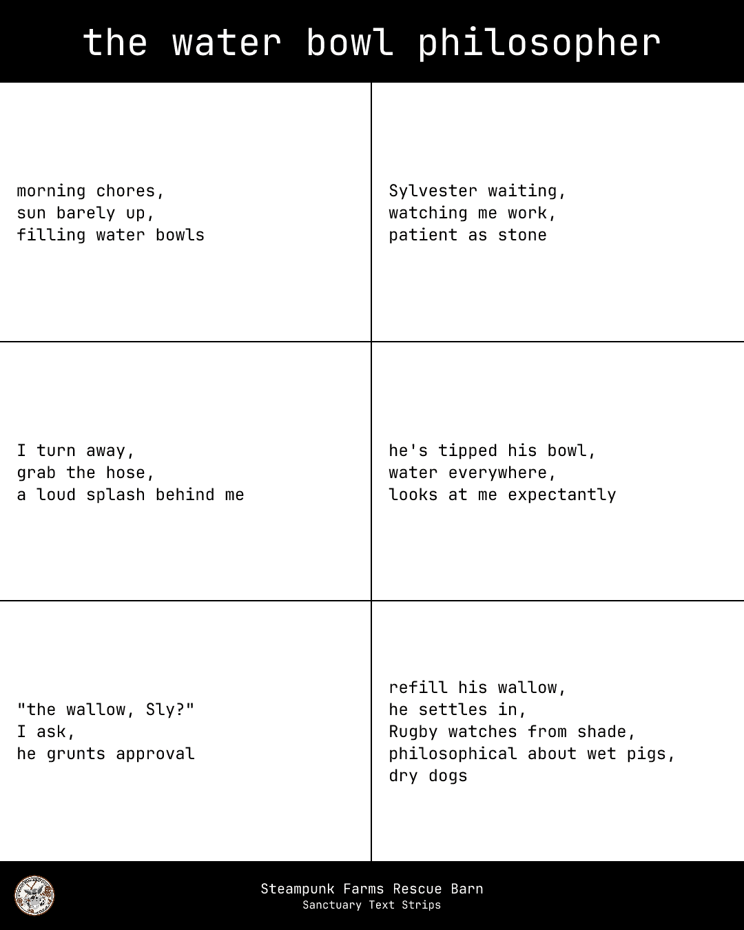 Sanctuary Strip — The Water Bowl Philosopher